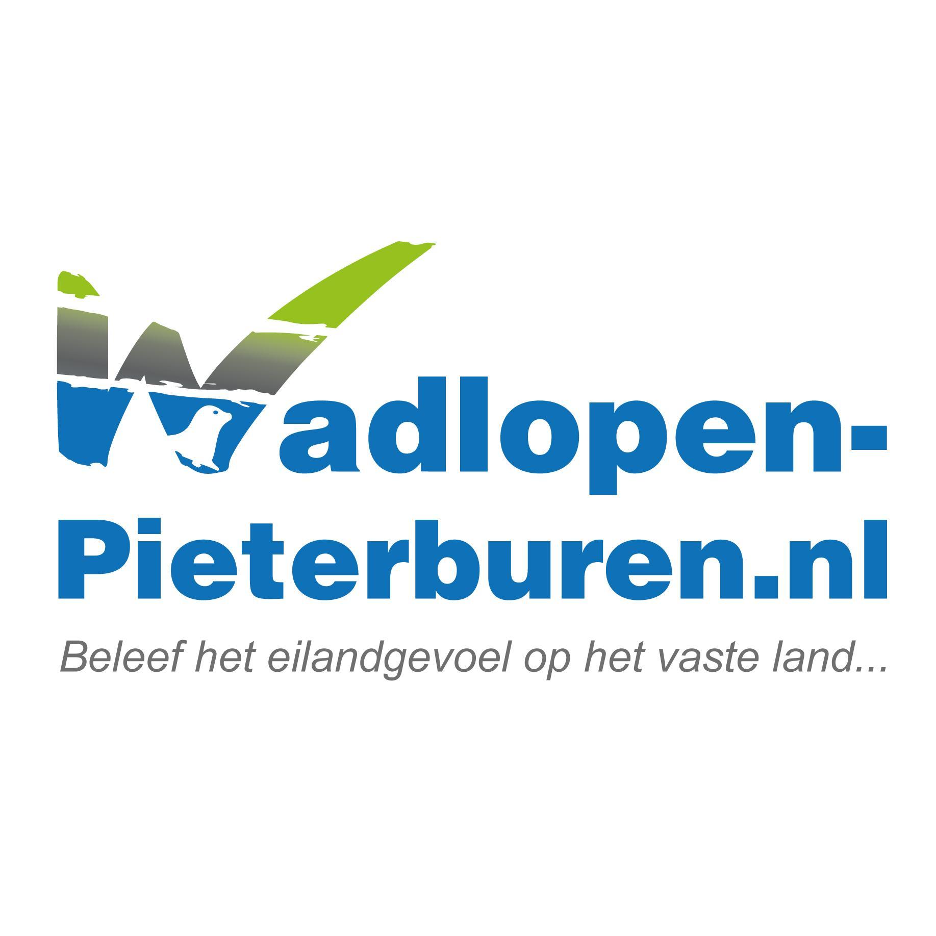 Nieuwtjes over zeehondendorp Pieterburen
