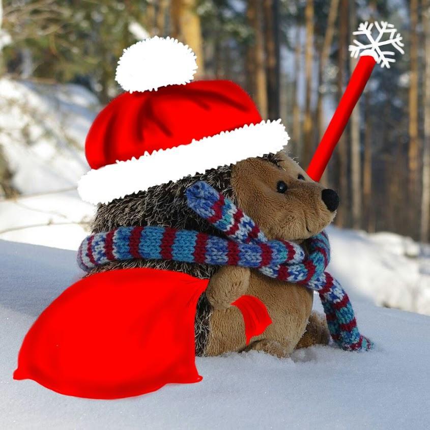 Deus_Hedgehog's profile picture. 