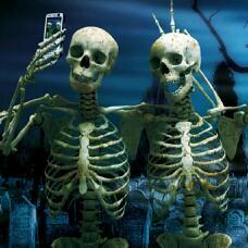 MatcellW's profile picture. 