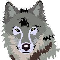 Hey I'm Derek a grey wolf who loves exploring,I'm sometimes shy but love making new wolf friends #Mate @AleuWolfDog
