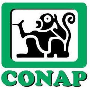 ConapIzabal's profile picture. 