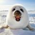 Photos du Monde (@picsdumonde) Twitter profile photo