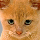 duncan milne - @duncsterdude - Twitter