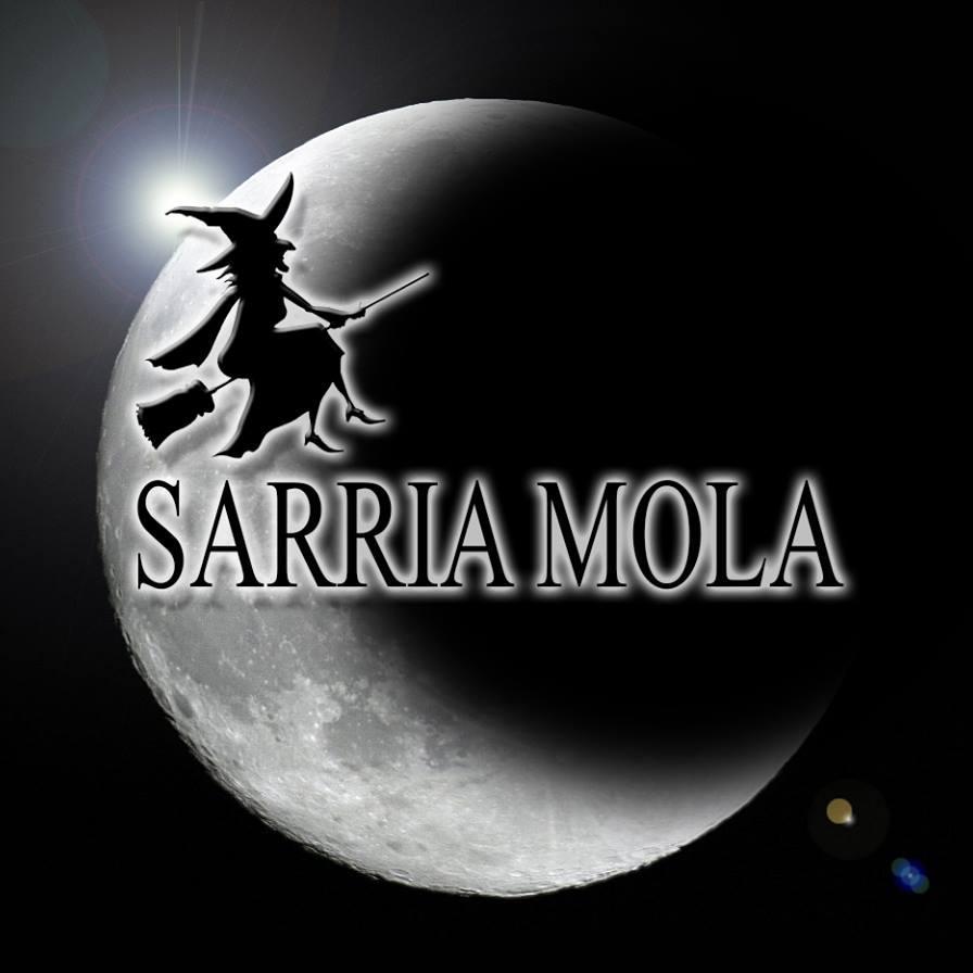 Proxecto, coordinado pola Concellería de Xuventude e Deportes do Concello de Sarria, baixo o que se agrupan 14 bares e pubs.