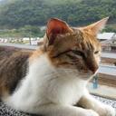 Kit Chan - @KitChan2534 - Twitter