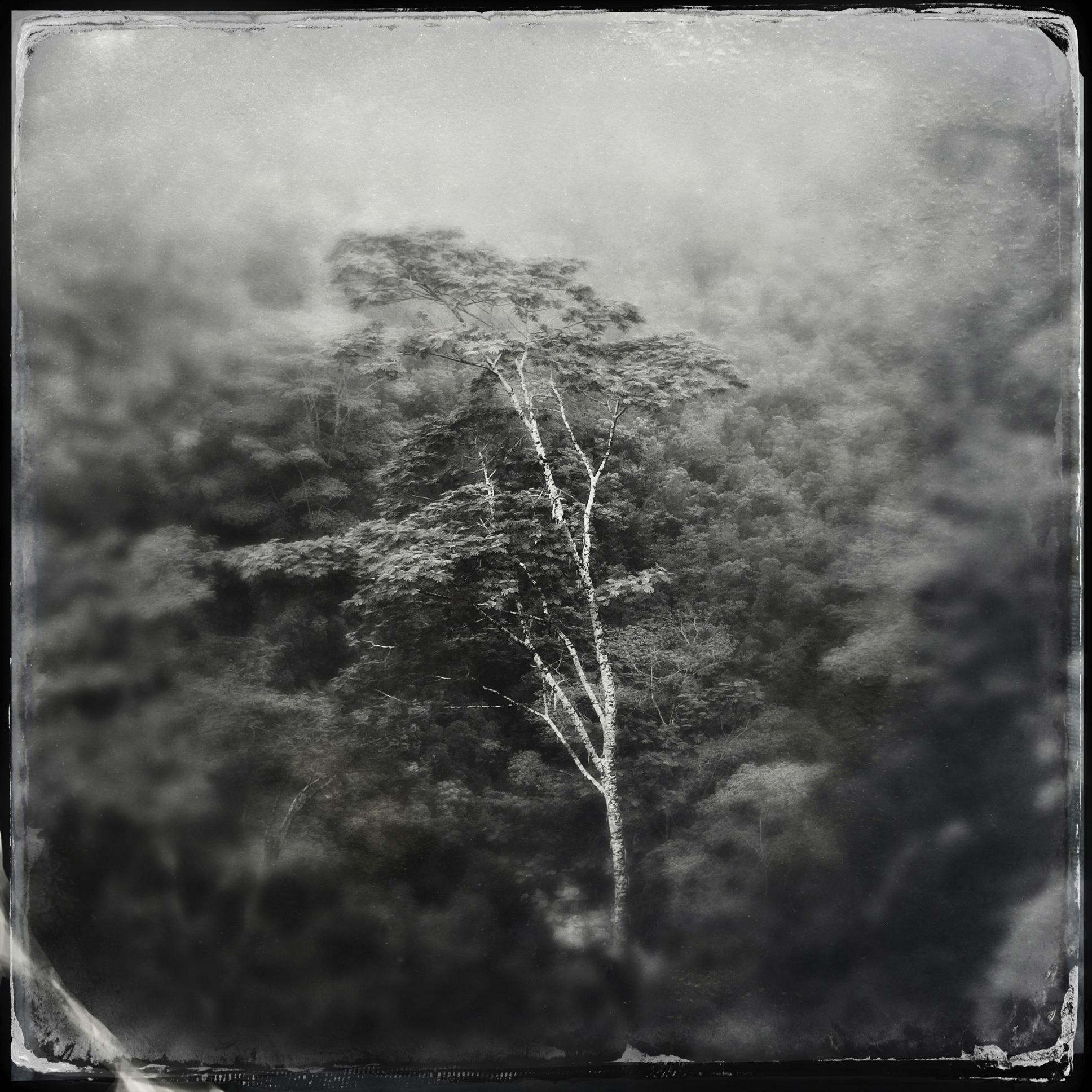 Award-winning #photographer shooting #documentarylandscape projects and commercial #landscapephotography commissions. Tweeting #hipstamatic shots only.....