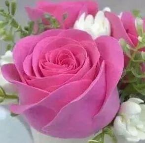 KhanShoukatk223's profile picture. 