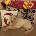 Tim McLaughlin - @Laughlin1966 - Twitter