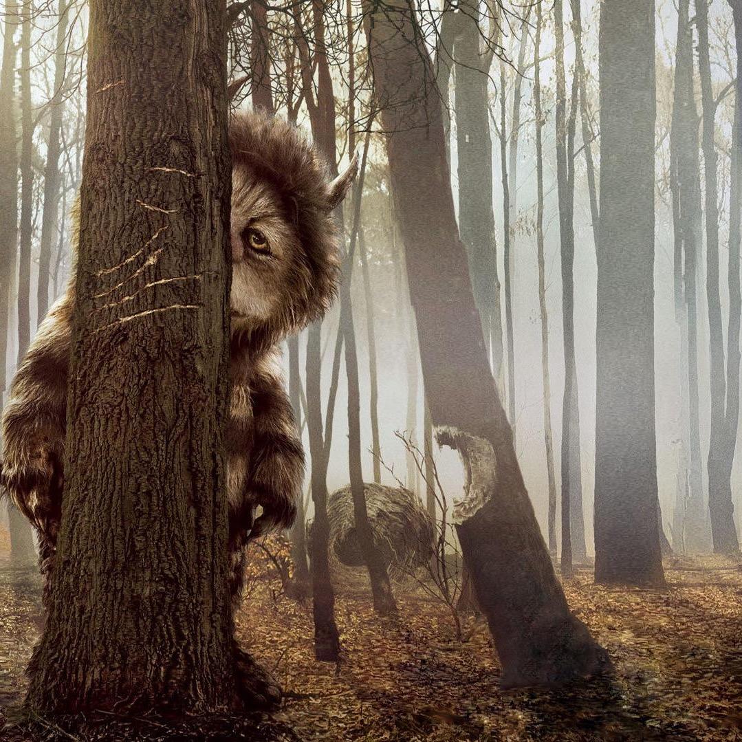 sera000's profile picture. 