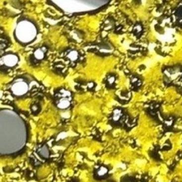 dankvape's profile picture. http://t.co/xPGGPYlPCe launched! Earn with us on commision per sale & $3.00 every affiliate referral! & have access to our other stores we are launching!