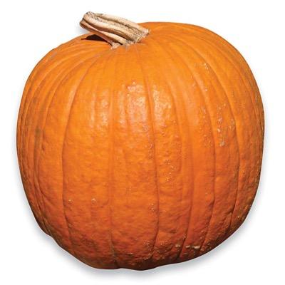 It Is always Pumbkipn Season in My Hart🎃