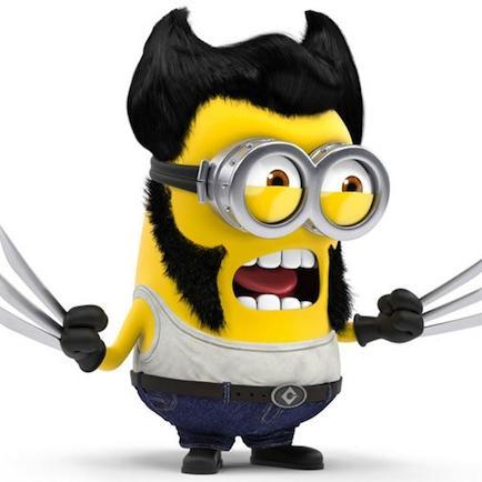Software Developer