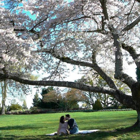 TREEINSIDEfilm's profile picture. The Tree Inside is a dramatic feature directed by Michelle Kim @miju and Rob Leickner @robsolete. The film stars Michelle Kim, Casey Manderson, and Diana Bang.