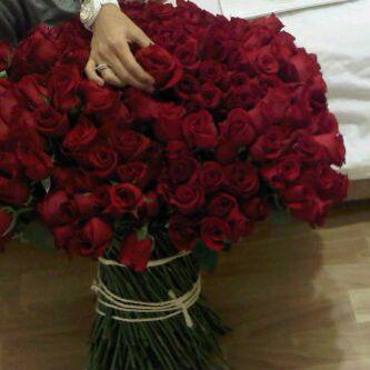 حسابي القديم @ZEZO050705 .. وتقفل حياكم بهالحساب #تابعني _ اتابعك