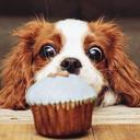 dani carson - @dani_carson - Twitter