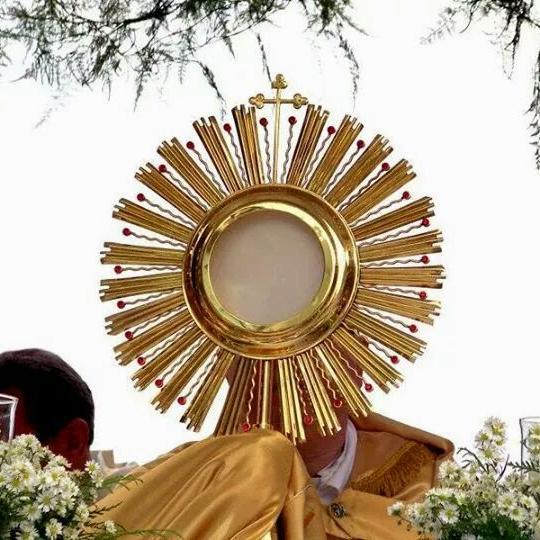 Meus Caros, a visita é um meio muito necessário para vencer o demônio. Portanto, ide frequentemente visitar Jesus, e o demônio não terá vitória contra vós.``
