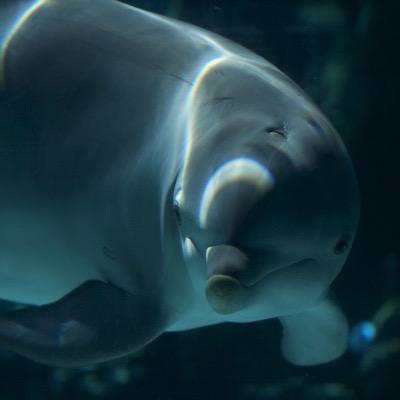 dpod69's profile picture. 