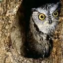 Alejandro Robledo. - @Alejandro1285 - Twitter