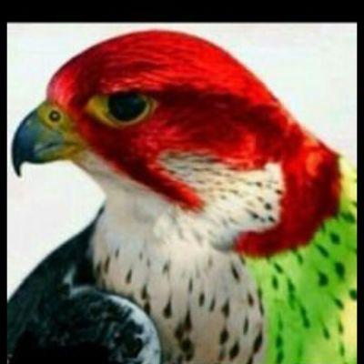 تموت الاسد في الغابات جوعا *ولحم الضأن تأكله الكلاب * وعبد قذ ينام على حرير *وذو نسب مفارشه التراب ***