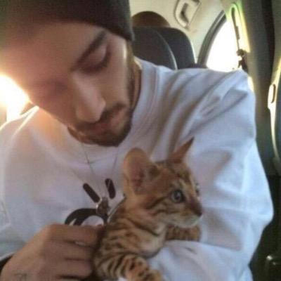 free follow! please follow @adoriinghxrry (i fb) or you lose this follow:( ily♡
