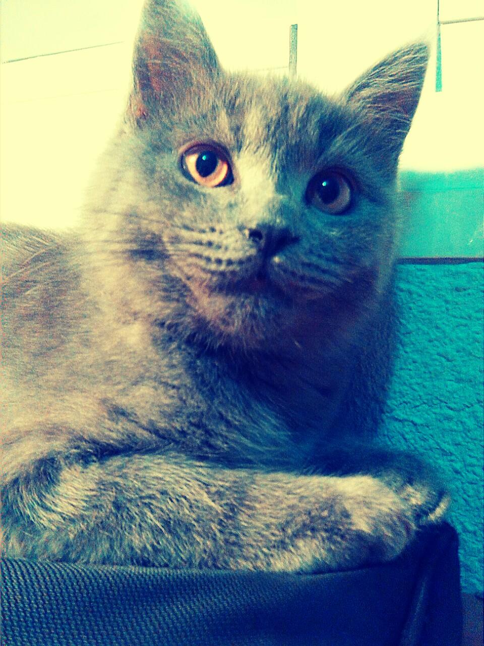 ElenaDega's profile picture. 