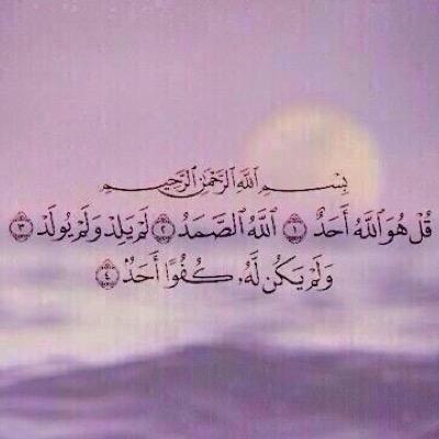 نوش ؟ بشرى ؟ ارام ؟ اسماء ؟ سجى ؟ نهال ؟ ترف ؟ لوش ؟ نوف ؟ نورا ؟ حبيبيني انتم)'.
