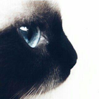 lnstagram : saja.n