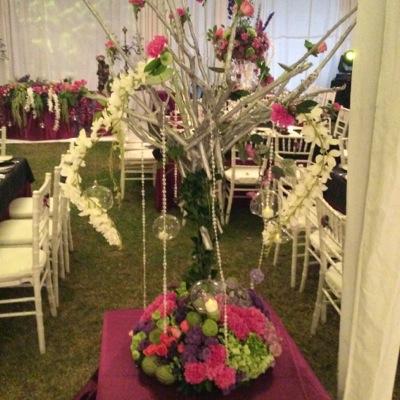 ¡29 años Magnificando tus sueños! Banquetes, Decoraciones y más!