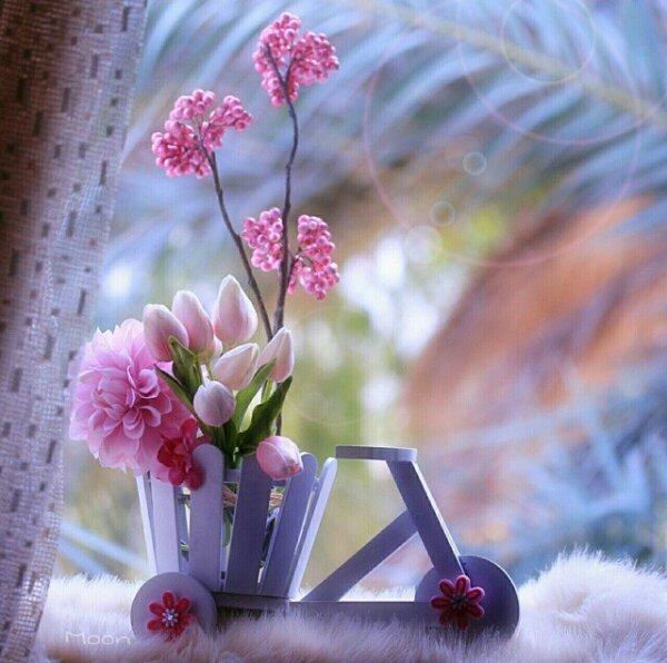 m33mm3's profile picture. سبـــــحان اللـه وبحـــــمده
سبـــــحان اللـه العــــعظيم



 استغــــــــفر الـلــه واتوب اليه  سبـــــحان اللـه وبحـــــمده
سبـــــحان اللـه