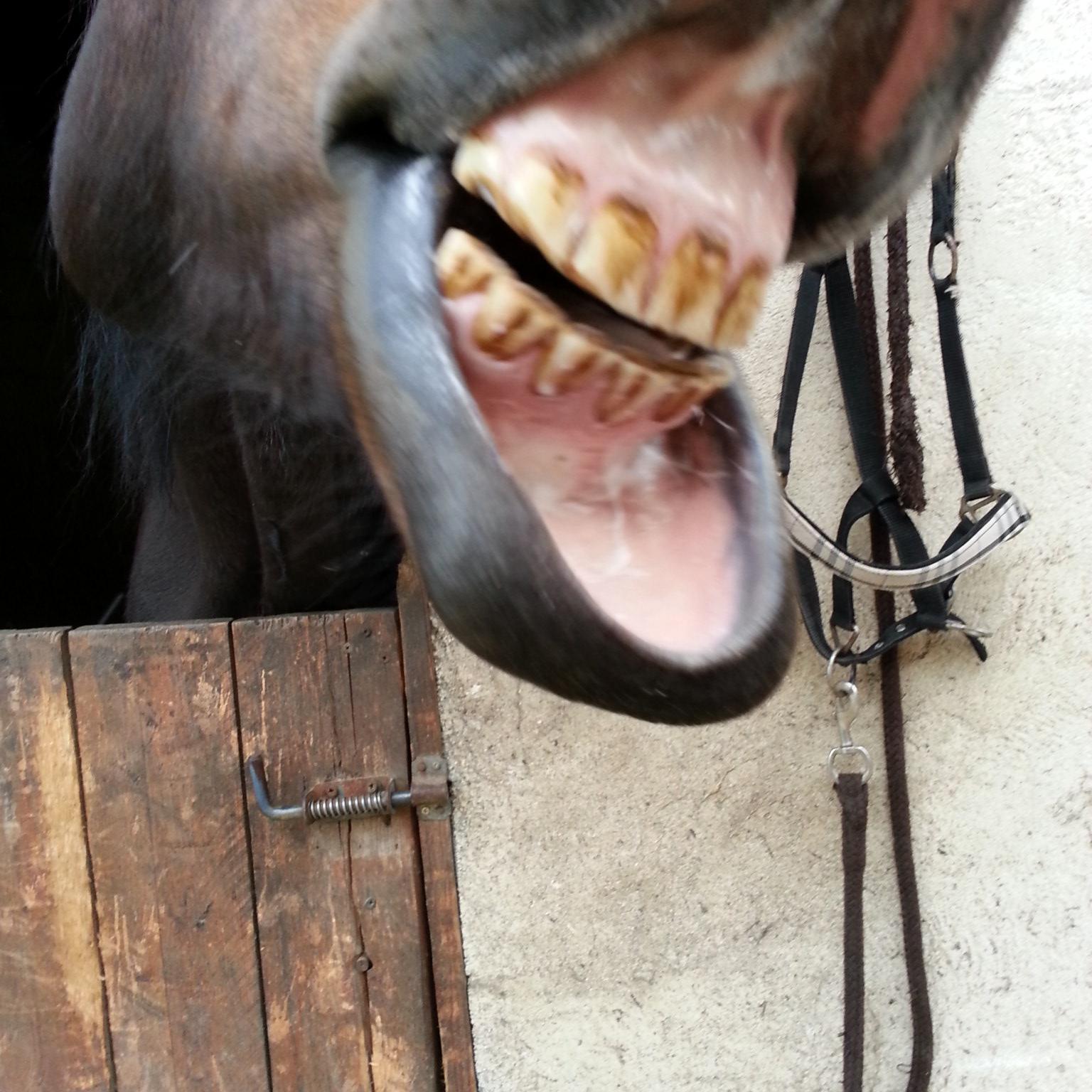 alphred69's profile picture. 