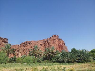 ‏اكرم النفس بالخلق الحسن وتمتع بروح التوكل على من لاتنام عينه