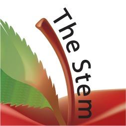 TheStemGroup Profile Picture