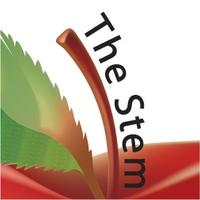 The Stem Group(@TheStemGroup) 's Twitter Profileg