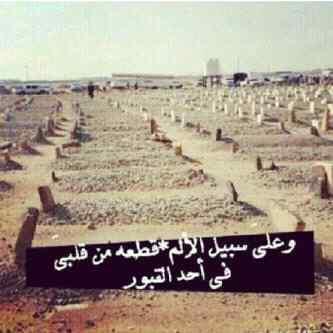 ..أخي يافقيد قلبي دمت بنعيم ربي .حتى نلتقي .