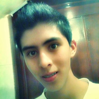 Guitarrista profesional.