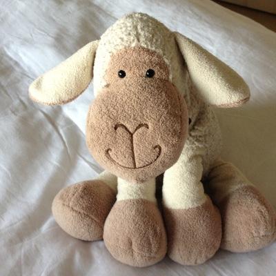A very friendly little sheep. Adopted from the mean streets of St Pancras. Bradford on Avon's resident Wonder Sheep; sometime #ASBOsheep