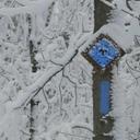 Bruce Trail - @BruceTrailatMac - Twitter