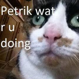 High maintenance, low uptime. The exact opposite of Pat. Pat likes cats.