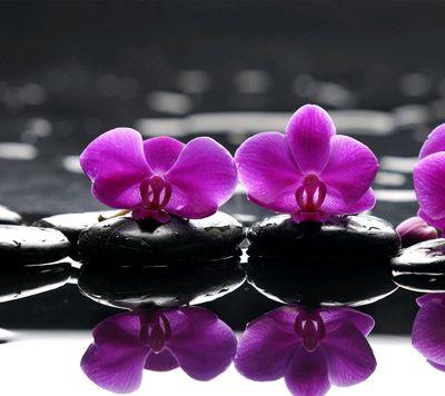 alitawrirte's profile picture. 