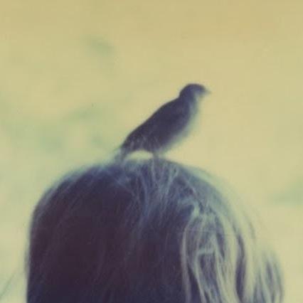 lantana_w's profile picture. 