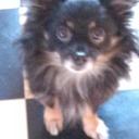 Beverly Ely - @beveryely - Twitter