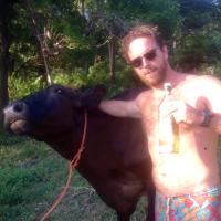 Steve Allen  (@72stevem) 's Twitter Profile