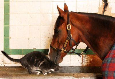 PedroRuizmedina's profile picture. 