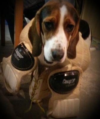 mik_avery's profile picture. 