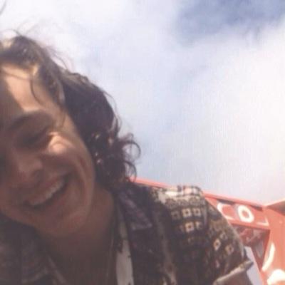 Please help me get Harry to see what I wrote for him, it would mean the whole entire world to me. Please rt the link below.