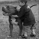 Omar Best - @Best_Beltran - Twitter