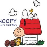 水瀬彰@関西イベントサークルピーナッツ (@akirasecond) Twitter profile photo