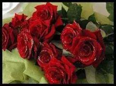 ‏‏‏‏‏أﻧَﺎ ﻟﺴﺖُ ﻋﻠَﻰ ﻃﺒَﻖ ﻣﻦ ذَﻫﺐ ﺑَﻞ أﻧﺎ أﻧﺜَﻰ ﻣﻦ ذﻫﺐ و اﻟﺬّﻫﺐ ﻣُﺤﺮّم ﻋﻠَﻰ الذكوور #
‏



))

الخاااااااص ممنووووووووووووووع  ))