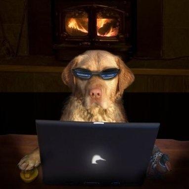 parduhnG's profile picture. 