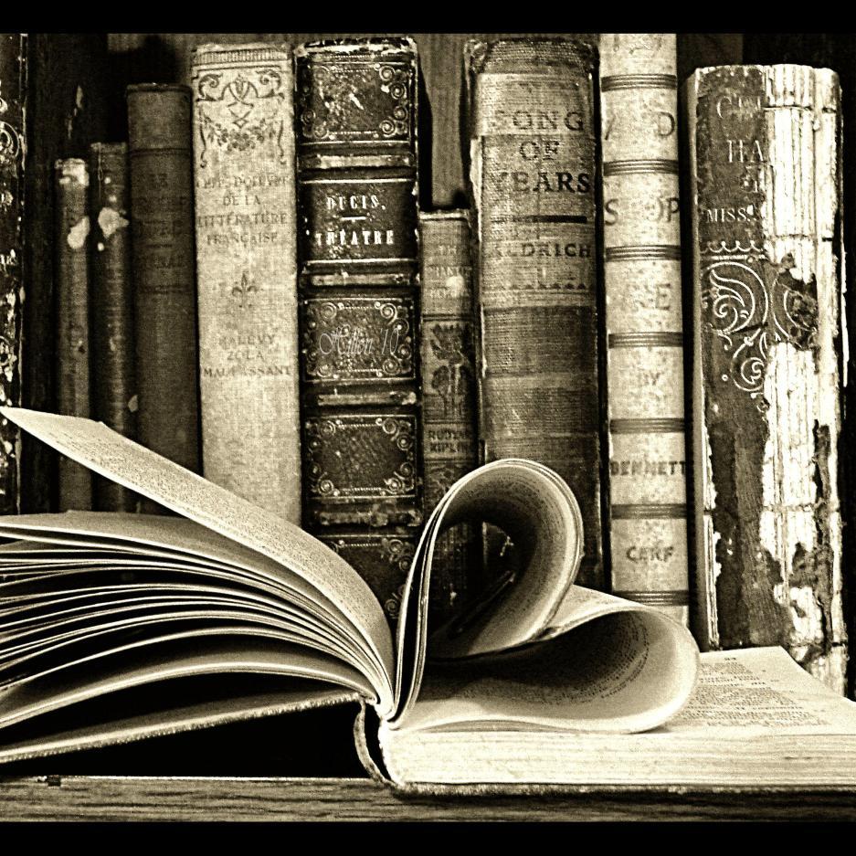 owlbot's profile picture. 